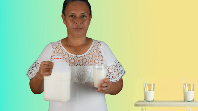 LECHE DE SOYA LA GLORIA